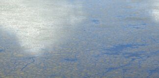 Güneş Enerjisi Kullanmanın Temel Faydaları: Neden Tercih Etmelisiniz?