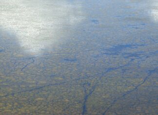 Güneş Enerjisi Kullanmanın Temel Faydaları: Neden Tercih Etmelisiniz?
