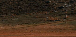 Enerji Verimliliği İçin Gölgeleme Haritalama Teknikleri Nelerdir?