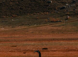 Fotovoltaik Teknolojisinin Çalışma Prensibi: Nasıl Enerji Üretiyor?