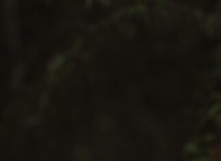 Batarya Bakımı Nasıl Yapılır? Uzun Ömür İçin Etkili İpuçları