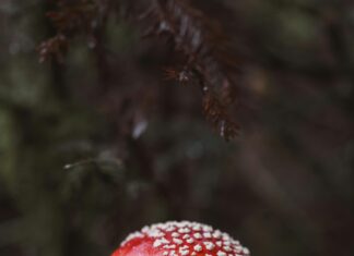 İnverter Seçerken Nelere Dikkat Edilmeli? Uzmanlardan Altın Öneriler
