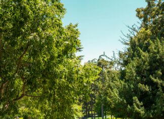 Temiz Enerji Nedir? Güneş Enerjisi Kapsamına Girer Mi?