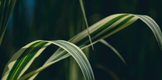 Solar Simülasyon Programları Nelerdir? En İyi Seçenekler ve Avantajları