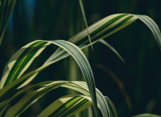 Solar Simülasyon Programları Nelerdir? En İyi Seçenekler ve Avantajları