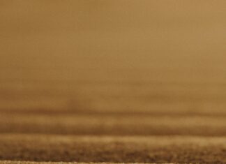 Güneş Paneli Bakım Maliyeti Ne Kadar? Şaşırtan Gerçekler!