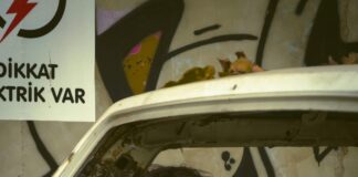 Güneş Paneli Yatırımında Dikkat Edilmesi Gereken Finansal Riskler Nelerdir?