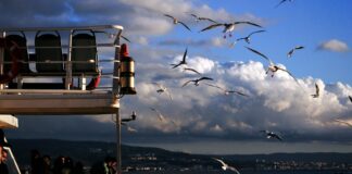 Uzaktan Takip Ve Enerji Yönetim Yazılımları İle Verimlilik Nasıl Artar?