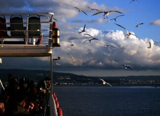 Uzaktan Takip Ve Enerji Yönetim Yazılımları İle Verimlilik Nasıl Artar?