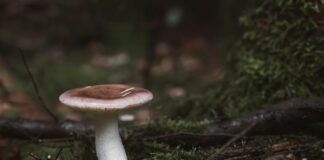 Güneş Paneli Kurulumunda Gizli Maliyet Kalemleri Nelerdir?