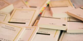 Güneş Enerjisi Devlet Teşvikleri ile Avantajları Keşfedin!