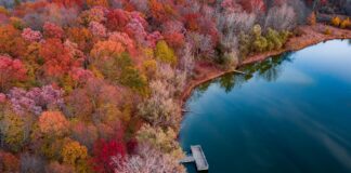 Güneş Paneli Alırken Kredi Mi Nakit Mi Daha Avantajlı? İpuçları