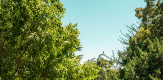 Güneş Enerjisi İçin Faizsiz Kredi Veren Kurumlar Nereden Bulunur?