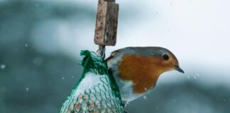 Net Metering Sistemi İle Güneş Elektriği Satışı Nasıl Kazançlı?