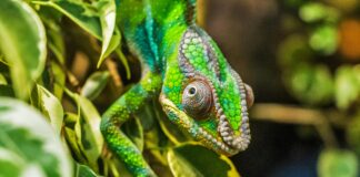 Güneş Enerjisi Teknolojilerinde Patent Koruma Stratejileri Nelerdir?