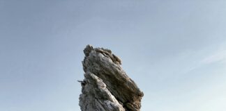 Araziye Güneş Enerjisi Santrali Kurma Maliyeti Nedir? Keşfedin!