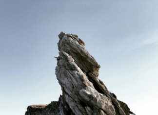 Araziye Güneş Enerjisi Santrali Kurma Maliyeti Nedir? Keşfedin!