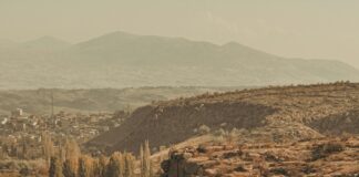 Güneş Paneli Pazarı: En Ucuz ve En Verimli Modelleri Keşfedin