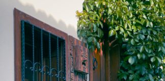 Küçükbaş ve Büyükbaş Hayvancılıkta Güneş Enerjisi İle Verimlilik Artışı