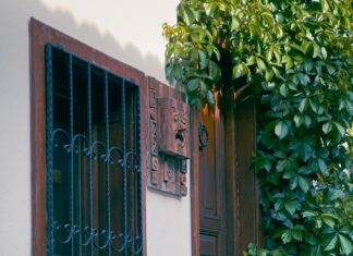 Ahırlarda Güneş Enerjisi Kullanımı: Aydınlatma ve Havalandırma Nasıl Yapılır?