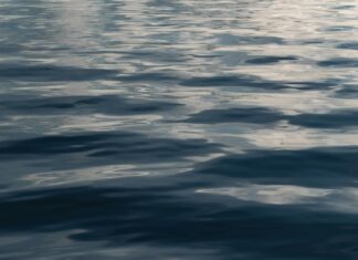 Güneş Enerjisi Panellerinde Şeffaf Yüzey Teknolojisi Nedir?