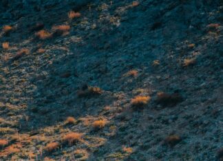 Güneş Enerjisi Kurulumlarının Arazi Kullanımına Etkisi Nedir?