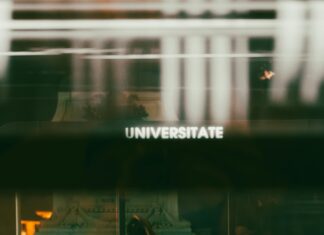 Fotovoltaik Sektöründe Üniversite-Sanayi İşbirlikleri Neden Önemli?