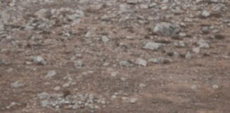 Fotovoltaik Sistemlerde Uluslararası Standartlara Uyum Neden Önemli?