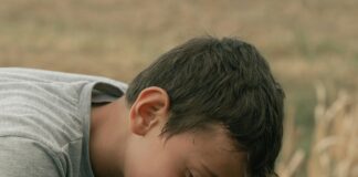 Güneş Enerjili Bahçe Aydınlatma Sistemleri ile Enerji Tasarrufu Sağlayın