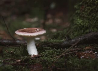 Güneş Enerjisi Pazarında Büyüme Beklentileri Neler? Keşfedin!