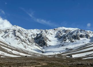 Güneş Enerjisi ile Yeşil Kampüs Projeleri: Sürdürülebilir Gelecek Mi?