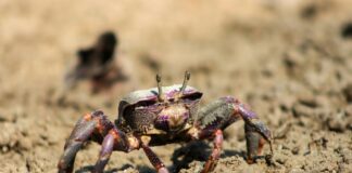 Güneş Paneli Teknolojilerinde Uçtan Uca Çözümler ile Tasarruf Edin