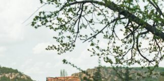 Tarım İşletmeleri İçin Güneş Enerjisi Teşvikleriyle Kazanmanın Yolları