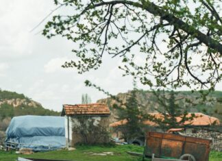 Tarım İşletmeleri İçin Güneş Enerjisi Teşvikleriyle Kazanmanın Yolları