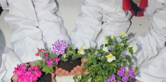 Fotovoltaik Sektöründe Dijital Eğitim Platformları ile Başarıyı Yakala