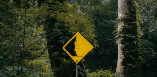 Şirketlerde Güneş Enerjisi Kullanımının Marka İmajı Üzerine Etkisi