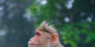 Fotovoltaik Endüstri 2025’te Hızla Büyüyen Şirketler ve Ülkeler