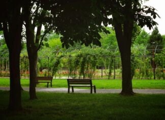 Güneş Enerjisi Tesislerinin Flora ve Fauna Üzerindeki Etkisi Nedir?