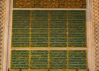 Güneş Enerjisi Ve Biyomimetik Panel Tasarımları ile Geleceği Keşfedin