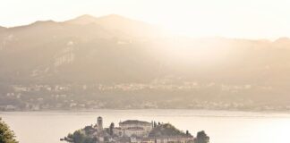 Fotovoltaik Pazarda Küçük ve Orta Ölçekli Firmaların Stratejileri