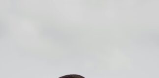 Çiftlik Evlerinde Güneş Paneli ile Bağımsız Enerji Kullanımı Mümkün mü?