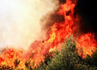 Güneş Enerjisi Sistemleri Çevre Dostu Malzemelerden Mi Yapılır?