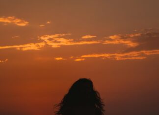 Güneş Paneli Sistemlerinde Gölge Etkisi Nedir? Bilmeniz Gerekenler