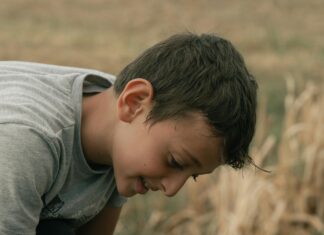 Güneş Enerjisi Eğitiminde Öğrenme Yönetim Sistemleri Nedir?