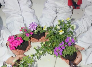 Güneş Enerjisi Eğitim Programlarında Başarılı Uygulamalar Neler?