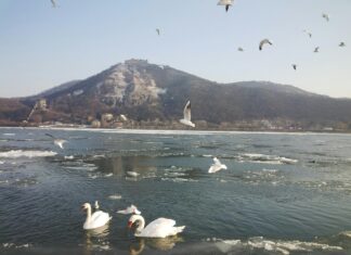 Güneş Paneli Sistemleri İçin Yazılım Desteği Var Mı? Keşfedin!