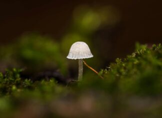 Güneş Enerjisi Eğitiminde STEM Programlarının Etkisi Nedir?