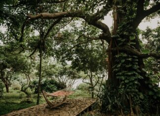 Güneş Enerjisi Projelerine Katılımı Teşvik Eden Programlar Nedir?