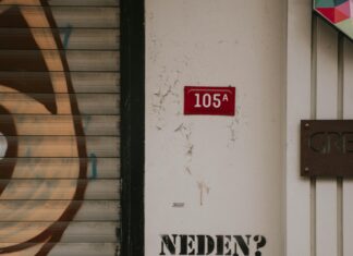 Güneş Paneli Kurulumunda Yön Tayini Neden Önemlidir? Öğrenin!